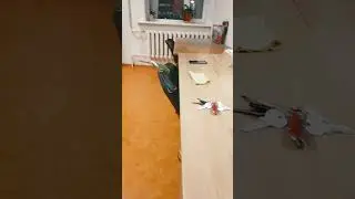 #луна