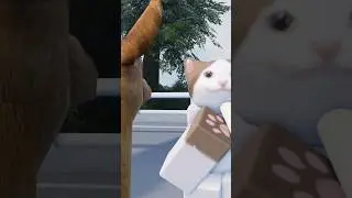Жёсткий денс 