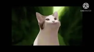 cat (this look alot pf effort to make ;-; plz like)