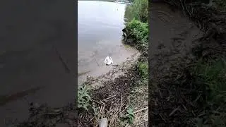 😭😭😭🥀🥀🥀Тёплый ветер гладит лицо