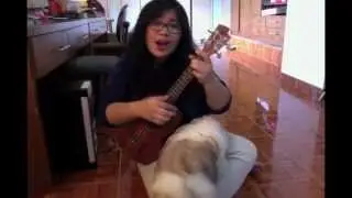 Obladi Oblada - The Beatles (Ukulele Cover)