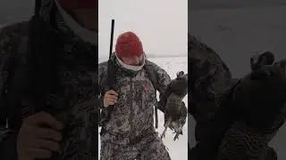 НЕОЖИДАННЫЙ БОНУС