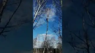 20 октября 2020 г.
