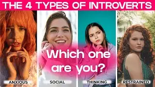 The 4 Types Of Introvert - What Type Of Introvert Are You?