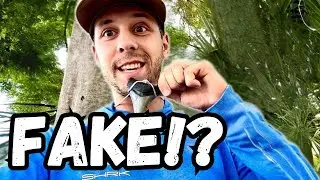 Why Does NOBODY Believe the Shark Teeth We Find?? Megalodons and More