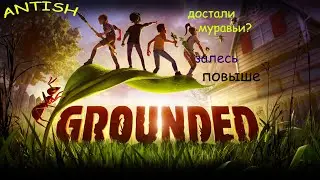 Grounded 2020-как уберечь лут от муравьев и где расположить базу