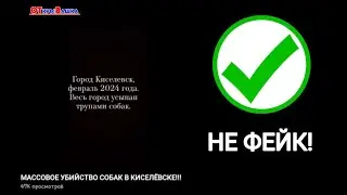 ФЕЙК про ФЕЙК. Как полиция заставляет молчать.