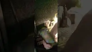 Ваша личная жизнь до нового года....