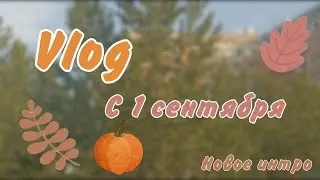 {💕}Vlog с 1 сентября🍁Эстетичный влог~перешла в 7 класс🌾{🧡}
