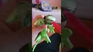 а в следующем видео я буду делать ему дом