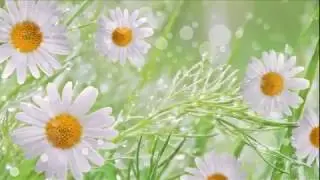 ИРИНА КРАЙДЕР - ЭТОТ БЕЛЫЙ РОМАШКОВЫЙ ВАЛЬС