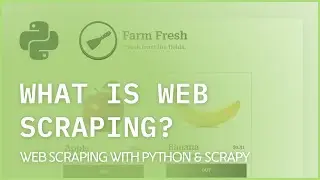 What is Web Scraping?