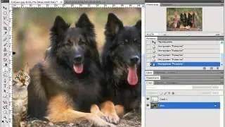 Photoshop CS4   CS5   33 Размытие, контраст, палец