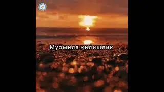 ABDULLOH_DOMLLA