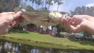 Canal Fishing in Orlando Florida