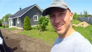 ПОСАДИЛИ ТУИ - БУДЕТ ШИКАРНО из города в деревню