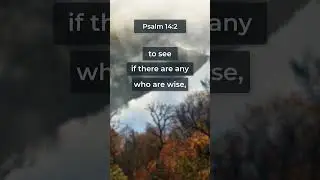 The Lord looks down from heaven on humankind