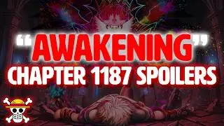 THIS IS WHAT EVERYONE WANTED!! (One Piece 1187)