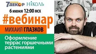 Оформление террас горшечными растениями. Селекционер-генетик Михаил Глазков