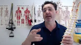 Back Pain and Lyme Disease