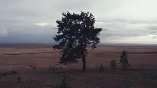 Баста - Буду..##Искать тебя всю жизнь..