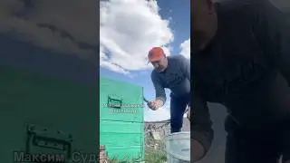 Начинаем восстановление ульев: покраска и подготовка к сезону!