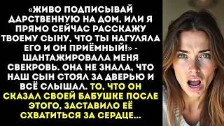 «Подпиши дарственную, или я расскажу твоему сыну, что он приёмный!» — шипела свекровь.