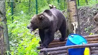 Пора вынести из дома хлам