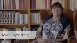 Micro-organisms - Mieke Mosmuller