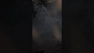 Αστέρι των Αλλαγών Αυγούστου💫