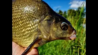 Smallest lure | making & fishing | Bream, Rudd, Roach