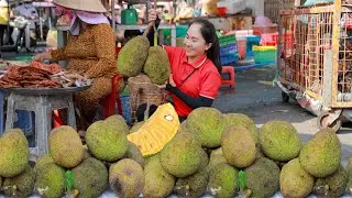 Harvesting jackfruit and goes to the market sell - cooking and selling