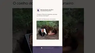 Coelhão 100% focados nos estudos 😆 #memes #procuradoria
