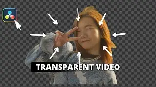 How to Export Transparent Video - Davinci Resolve 20