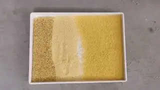 AMD Millet Sorting/Sortex/Sorter Machine with Large capacity, excellent performance