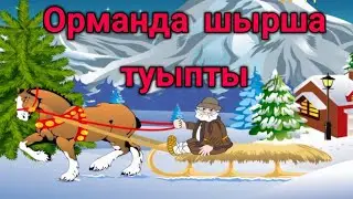ОРМАНДА ШЫРША ТУЫПТЫ/ЖАҢА ЖЫЛҒА АРНАЛҒАН ӘН/балаларға арналған әндер