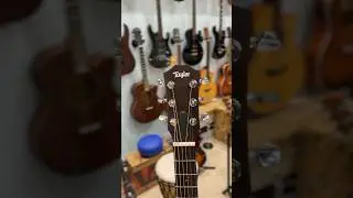 Taylor sounds better with the OS1! #guitar #music