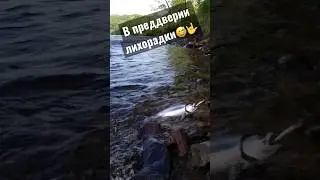 В преддверии симового Созонт 2023!