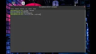 Linux Mint Wine yükledim ama bulamıyorum/çalıştıramıyorum hatası. Terminalde .exe çalıştırma