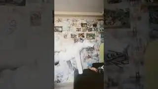 сигма крош