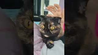 С утра всегда 💞