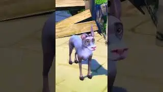 You wont believe these ANIMALS in The Sims 4! 