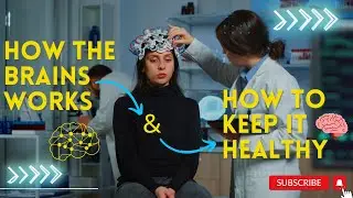 The Science Behind Brain Function: How to Keep It Healthy