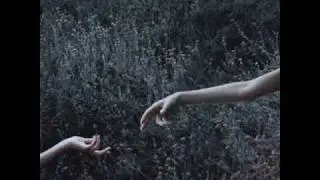Ночь в июле