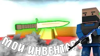 Мой инвентарь | Block strike