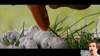 I'm not licking any white dog shit!