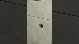 Стройка. Рабочий день за час.