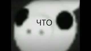 что ¿