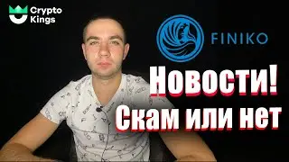 FINIKO SKAM ИЛИ НЕТ? Новости Финико | ЧТО БУДЕТ ДАЛЬШЕ?