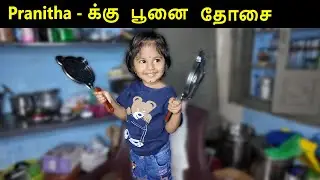 Pranitha க்கு  புது பூனை தோசை கல்@CatAndRatOfficial  #trendingshorts #shortsvideo